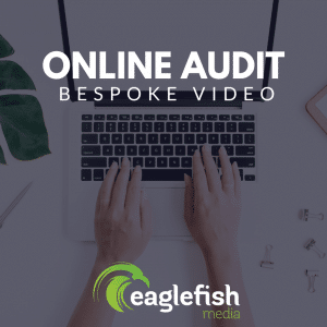 Online Audit Eaglefish Media