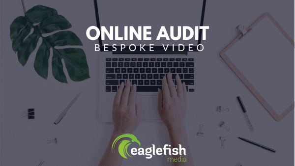 Online Audit Eaglefish Media